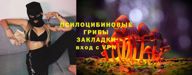 где можно купить наркотик  Бирюсинск  Псилоцибиновые грибы MAGIC MUSHROOMS 